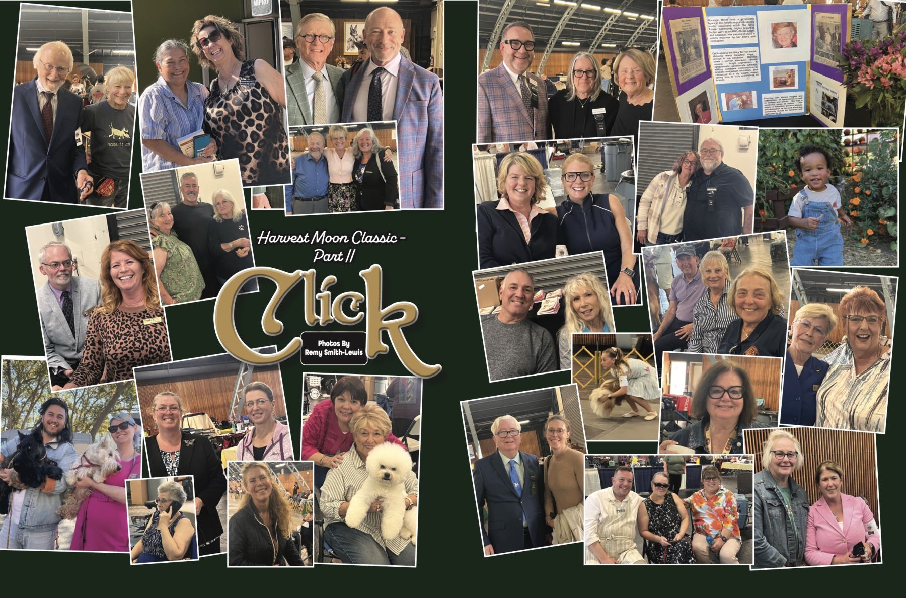 Click Harvest Moon Classic 